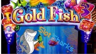 • Goldfish 3 Big Bonus Wins ! Nice Picking ••  ! Aria Las Vegas