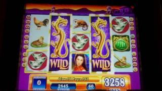 Game of Dragons II Slot Bonus - WMS