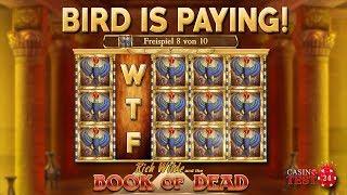 BIG WIN on Book of Dead Slot (Play'n Go) - 5€ BET BONUS!