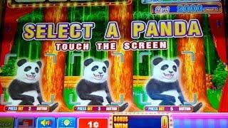 Bamboo Panda Slot Machine *BACKUP SPIN SUCCESS* Bonuses!