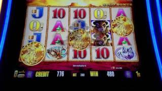 Buffalo Gold Slot Machine Max Bet !!!! Live Play