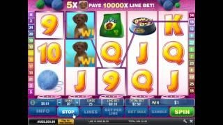 Cute And Fluffy Slot Machine At Grand Reef Casino