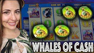 $25 BET! Whales of CASH Wonder 4 Boost! w/ Lady Luck HQ