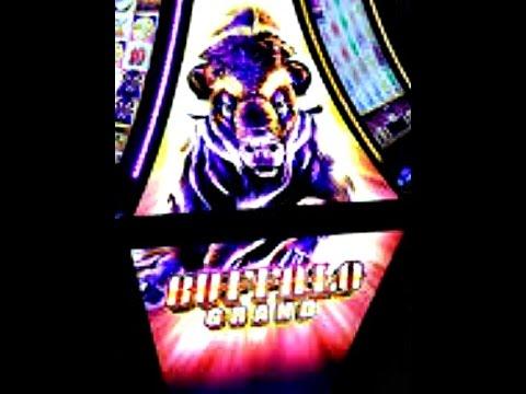 *NEW* BUFFALO GRAND | Aristocrat - Nice Win! Slot Machine Bonus