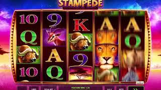 African Stampede video slot - Greentube and Novomatic game Review