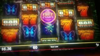 Bally Quick Hit Jungle Slot Machine Bonus - New Game