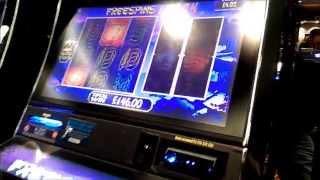 GOLDEN DRAGON BRAINZ