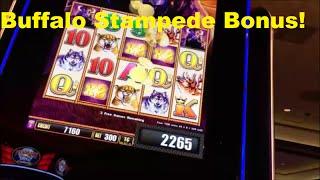 Buffalo Stampede with a Free Game Bonus Win!
