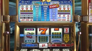 Double Gold Slot Machine At Intertops Casino