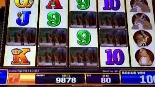 Bally Mustang Slot Machine Nice Line Hit & Free Spin Bonus