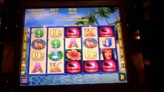 Bonus win on Aloha Paradise at the Sands Casino in PA