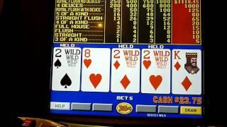 Free slots deuces wild poker games