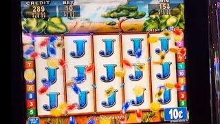 Wild Lion Slot - Big Win line hit + bonus - 10c denom - Slot Machine Bonus