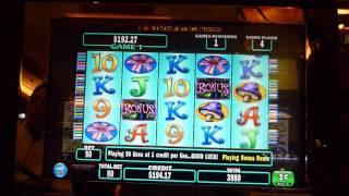 Lil' Lady Multiplay Slot Machine Bonus Win (queenslots)