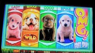 High Limit OMG Puppies $10 bet 25 Free spin bonus