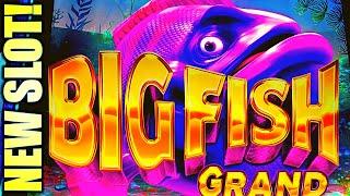 ⋆ Slots ⋆NEW SLOT!⋆ Slots ⋆ DOUBLE MAJOR JACKPOTS! ⋆ Slots ⋆ BIG FISH GRAND Slot Machine (Aristocrat Gaming)