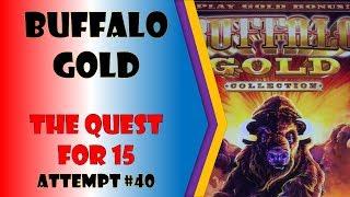 The Quest for 15 - Buffalo Gold Attempt #40 - Last Attempt