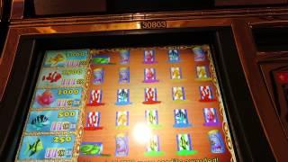 Goldfish Slot Machine Bonus - Fish Food Bonus-good Win!