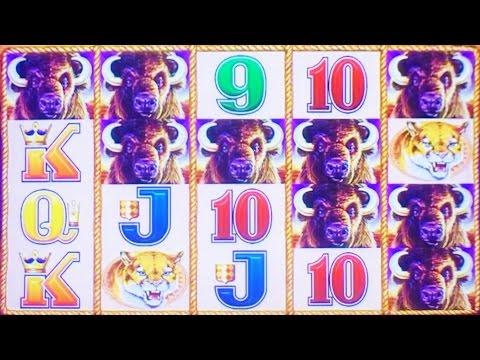 Buffalo Gold slot machine, DBG #5