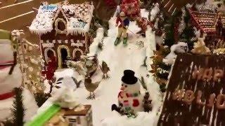 World's Largest Gingerbread House at Sea - Queen Mary 2
