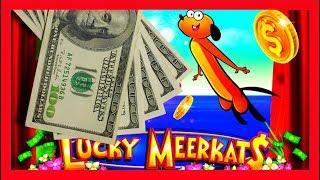 BIG WINS! RARE 2X Bonus! Lucky Meerkats Slot Machine Bonuses!