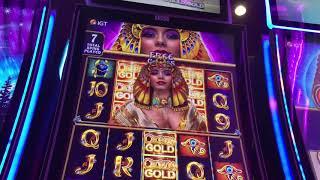Cleopatra Gold Big Win Bonuses
