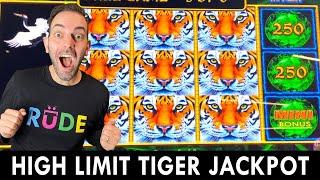 $25 HIGH LIMIT Tiger JACKPOT ⋆ Slots ⋆ Eyes of Fortune at Agua Casino #ad
