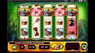 Wizard Of Oz Ruby Slippers Slot!