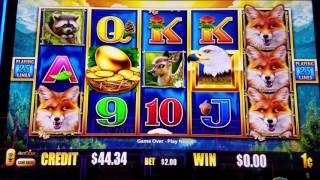 NEW SLOT ~ BIRDS OF PAY SLOT MACHINE  Just Live Play  by Aristocrat Slots