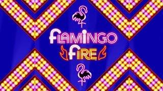LOVED IT! Flamingo Fire Slot - NICE SESSION, ALL FEATURES!