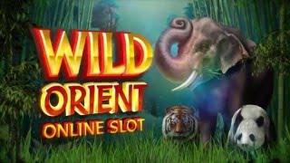 Wild Orient Slot - Microgaming Promo