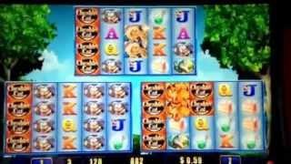 Cheshire Cat Slot Machine Bonus 3 Arrays Golden Gate Casino Fremont St Las Vegas