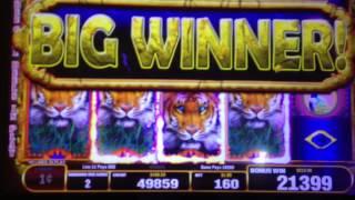 NEW! Bally WILD ESCAPE Slot machine Bonus WIN