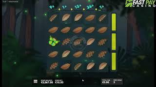 Forest Fortune slot by Hacksaw Gaming