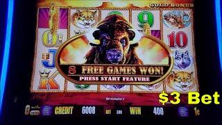 Buffalo Gold Slot Machine Bonus Win !! NICE GAME