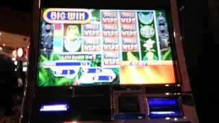 Jungle Wild 2 bonus - BIG WIN! (5c)