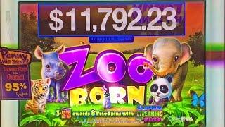 ++NEW Zoo Born, Class II Slot Machine, Live Play & Bonus