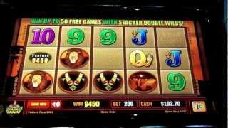 Bally - Savannah Treasures Slot Machine Bonus