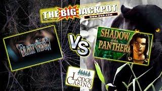 • The Raja Presents Shadow Of The Panther VS. Black Widow •