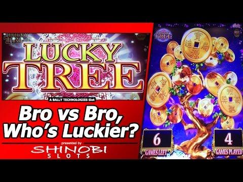 Lucky Tree Slot - Bro vs Bro, Who's Luckier?  Live Play and Free Spins/Picking Bonuses