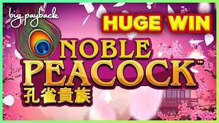 SHOCKING HUGE WIN! Noble Peacock Slot - LOVED IT!!