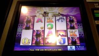 Buffalo slot machine big bonus win at Harrah's Casino in AC