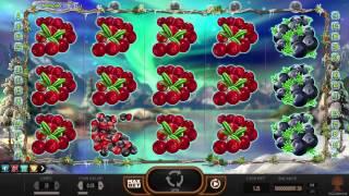 Winterberries• slot by Yggdrasil video game preview