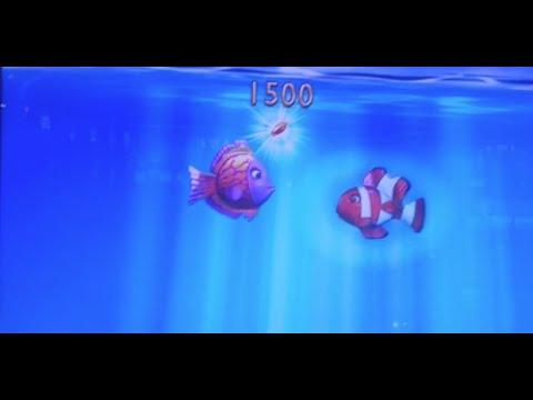 Gold Fish 3 Bonus ** SLOT LOVER **