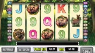 King Tiger Slot Machine At Intertops Casino