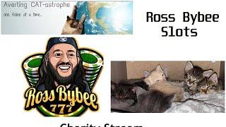 LIVE! Charity Slots For Averting Catastrophe Cat Rescue