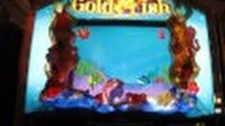 Goldfish Slot Machine- Three Bonuses-Max Bet