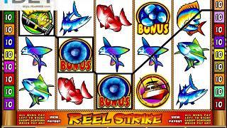 MG Reel Strike Slot Game •ibet6888.com