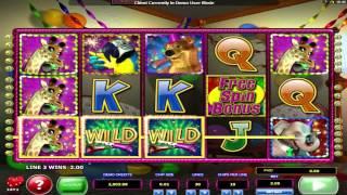 Wild Birthday Blast• slot machine by 2by2 Gaming | Game preview by Slotozilla