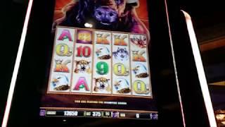 Las Vegas 2018 Part 4 Buffalo & Iron man